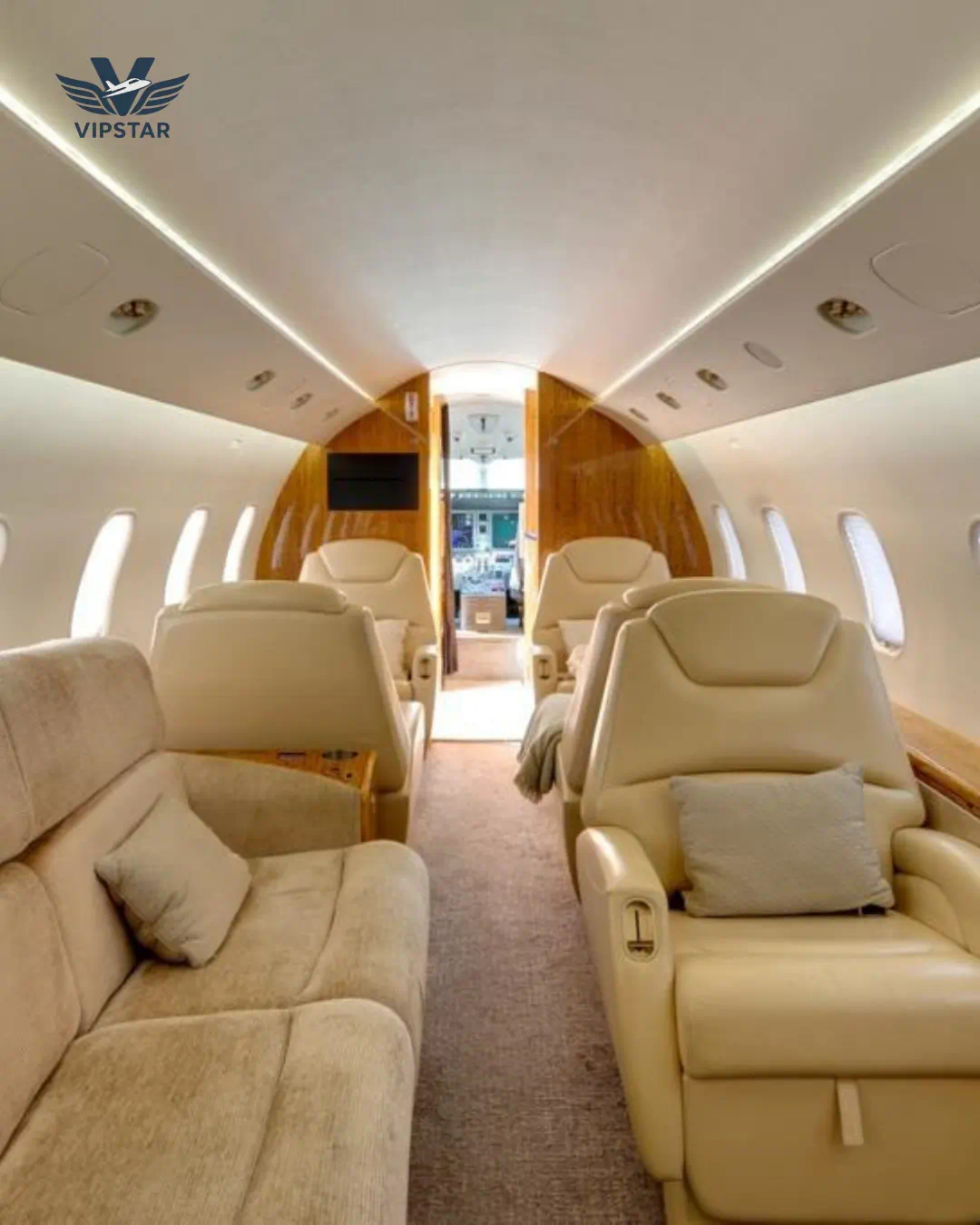 Super-Midsize Choice Pet Charter