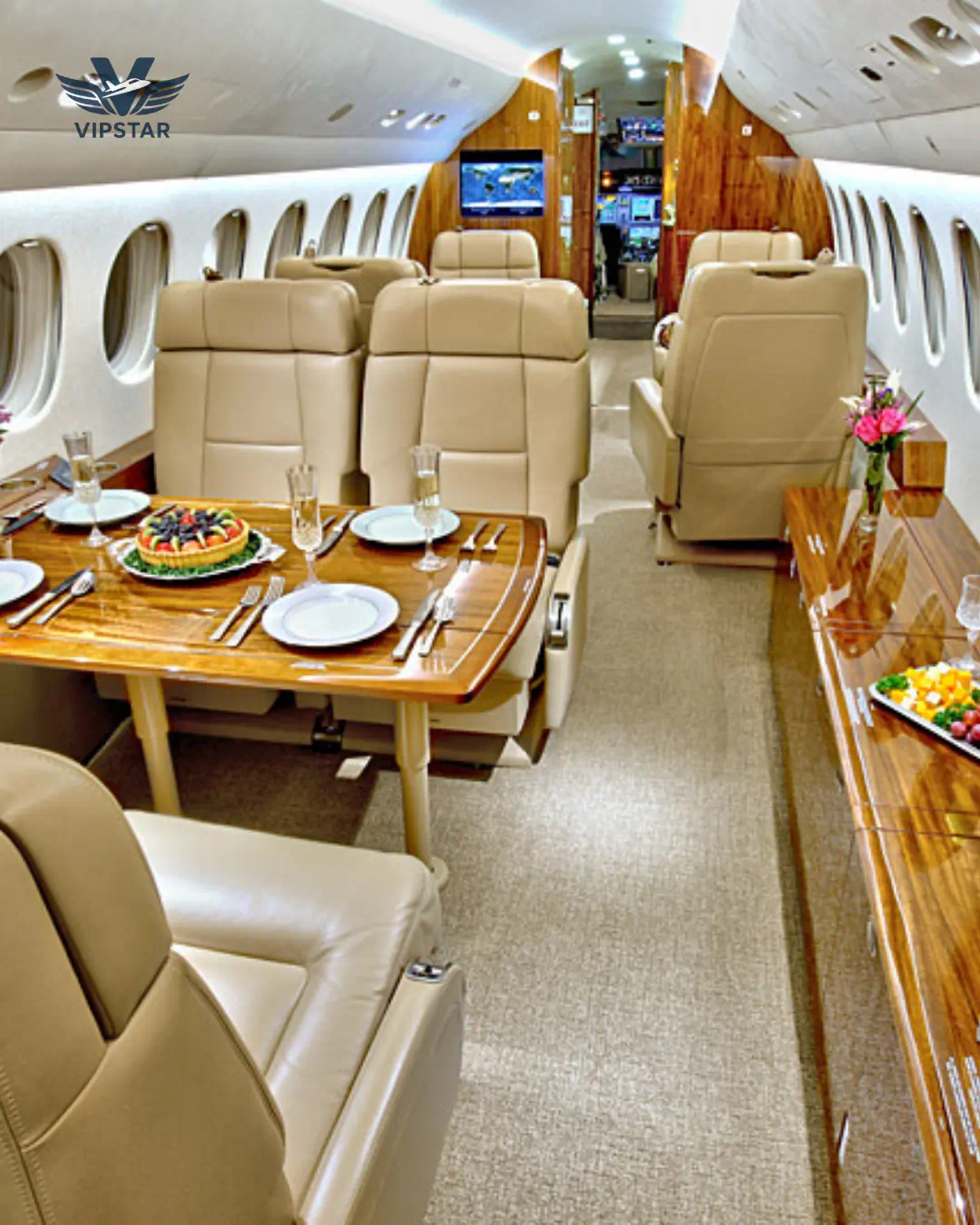 Large breed dog traveling in Falcon 8X ultra-widebody private jet cabin Turkey - VIPSTAR